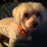 Stanley