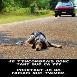 Etre recueilli pour une vie meilleure