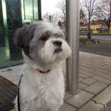 ARTO