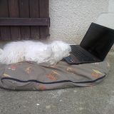 je sais pas quoi faire !!