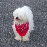 avec mon bandana !!