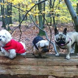Dans le bois, avec mes copines !