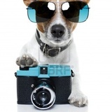 Concours photo