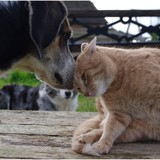 L'amour Fou ! 