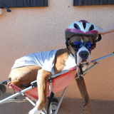 ouh la on fait du deux roues !