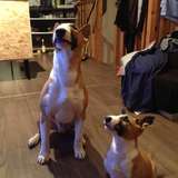 Stan & Inna