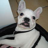 Tyson ;)