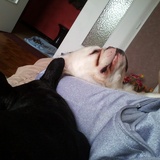sieste avec notre Mamoune et Easy..  