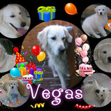 Souvenir de l'anniversaire Vegas