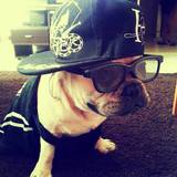 Photo de profil