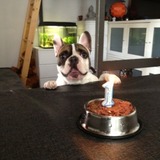 Fred