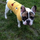 Fred