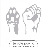 ~ Un don pour la SPA (noël) 