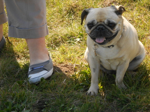 Au coucher du Soleil