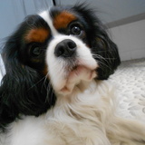 Charly