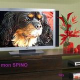 Spinoza