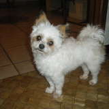 Louna