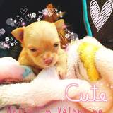 Valentina