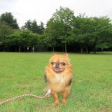 Bonjour♪