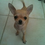 Paco