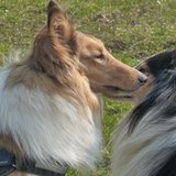 Au parc mercredi dernier, j'ai rencontré un cousin :D