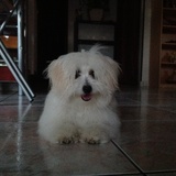 Gwendy