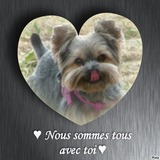 ❤ Pour Bimbo ❤