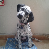 Loona