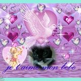 Repose en paix mon petit ange.