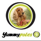 Les Yummypotes