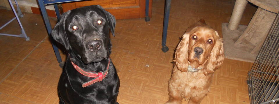 ♥Rowdy et Chuck♥