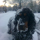 n'ebene 2013 dans la neige