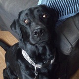Chuck