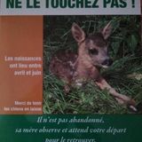 partager!!!
