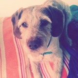 VICKY ♡