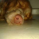 Galyne.♪★