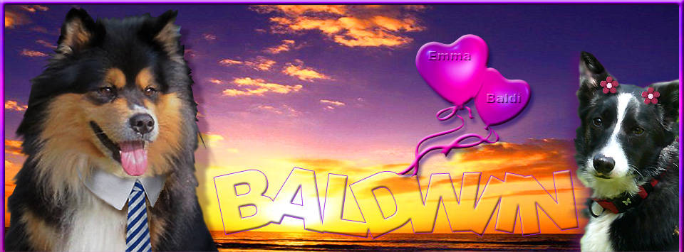 ♣BALDWIIN ♣