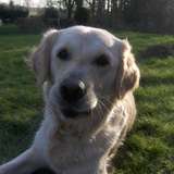 Dixie ♥