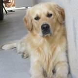 Doug