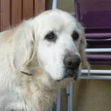 Roxy