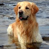 Enko, 2 ans et demi