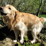 Enko, 3 ans et demi