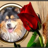 pour toi Baldwiin,   gros bisous!!!!