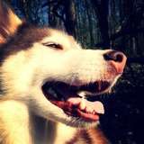 Anouk