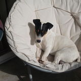 sieste o soleil &hearts;