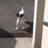 oh maman tu viens!!
