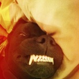 Hoslo
