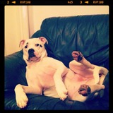 Lola