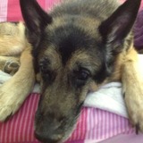 Ralf