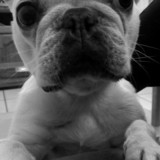 gaby